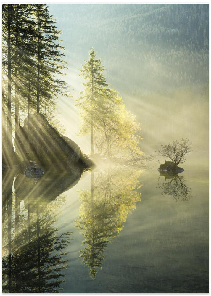 God Rays vertical
