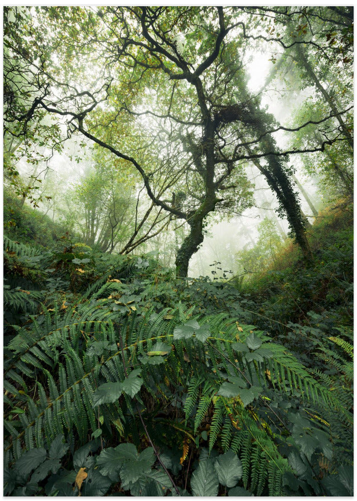 Tree World