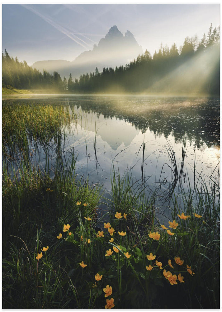 Mountain Paradise