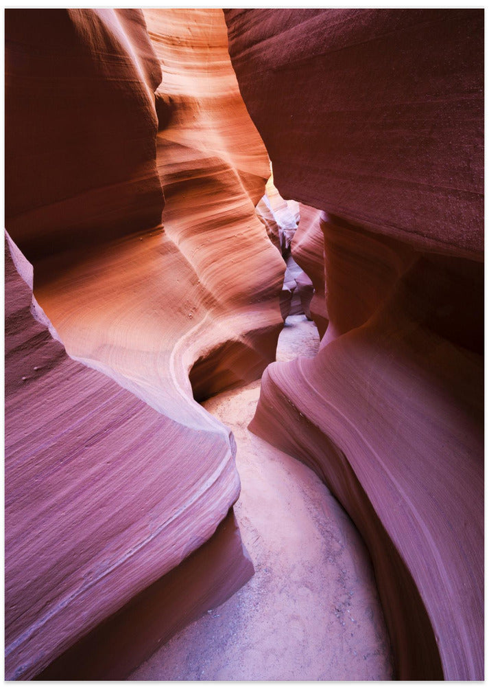 Purple Canyon