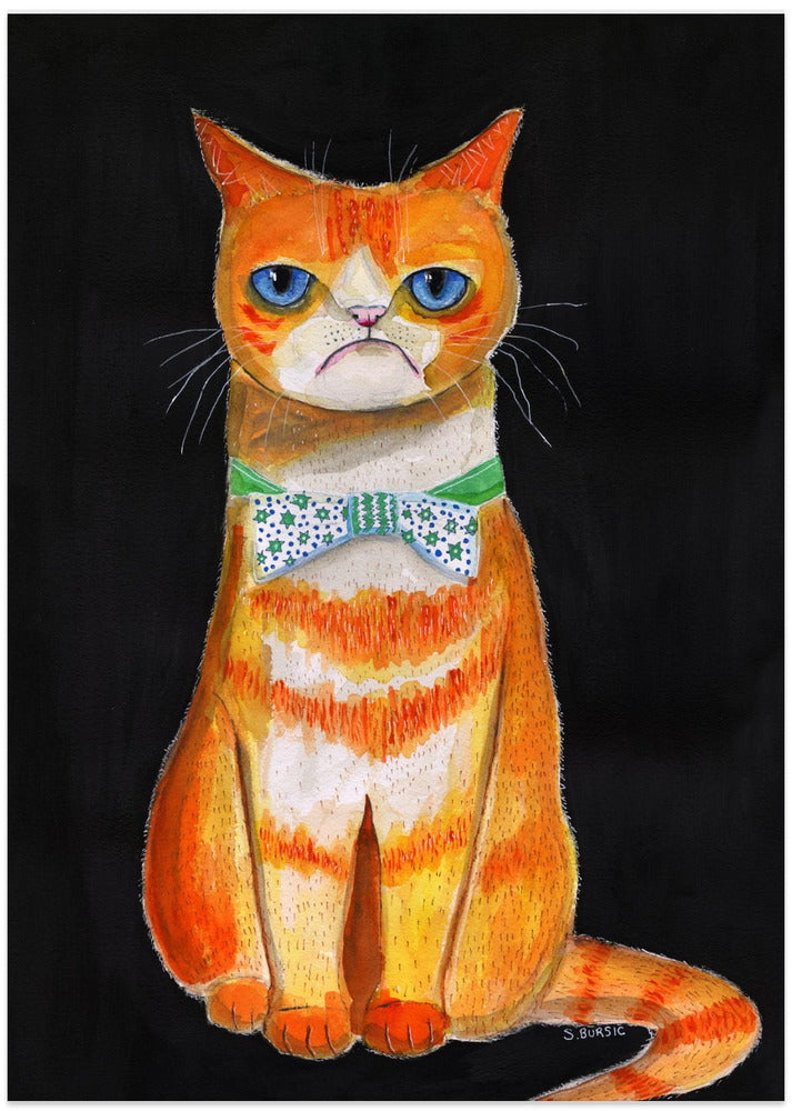 Sad Cat