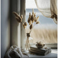 Serene Window View