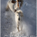 Two Horses