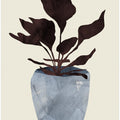 Country Plant