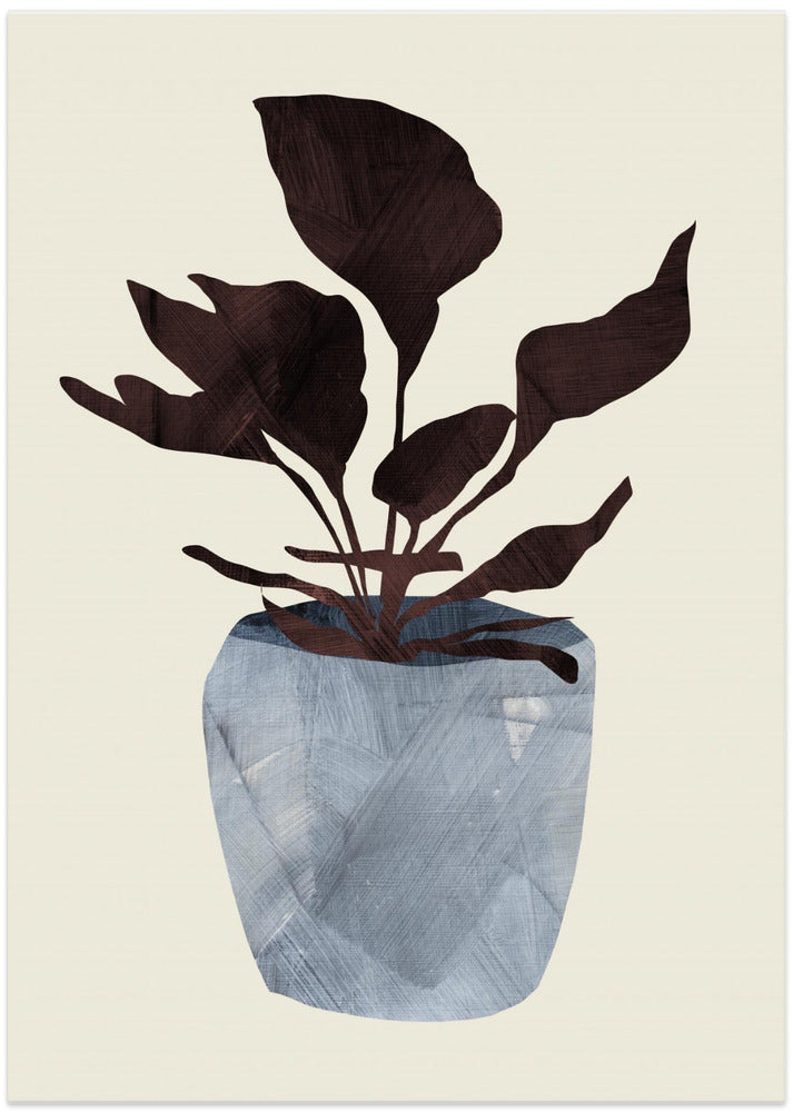 Country Plant