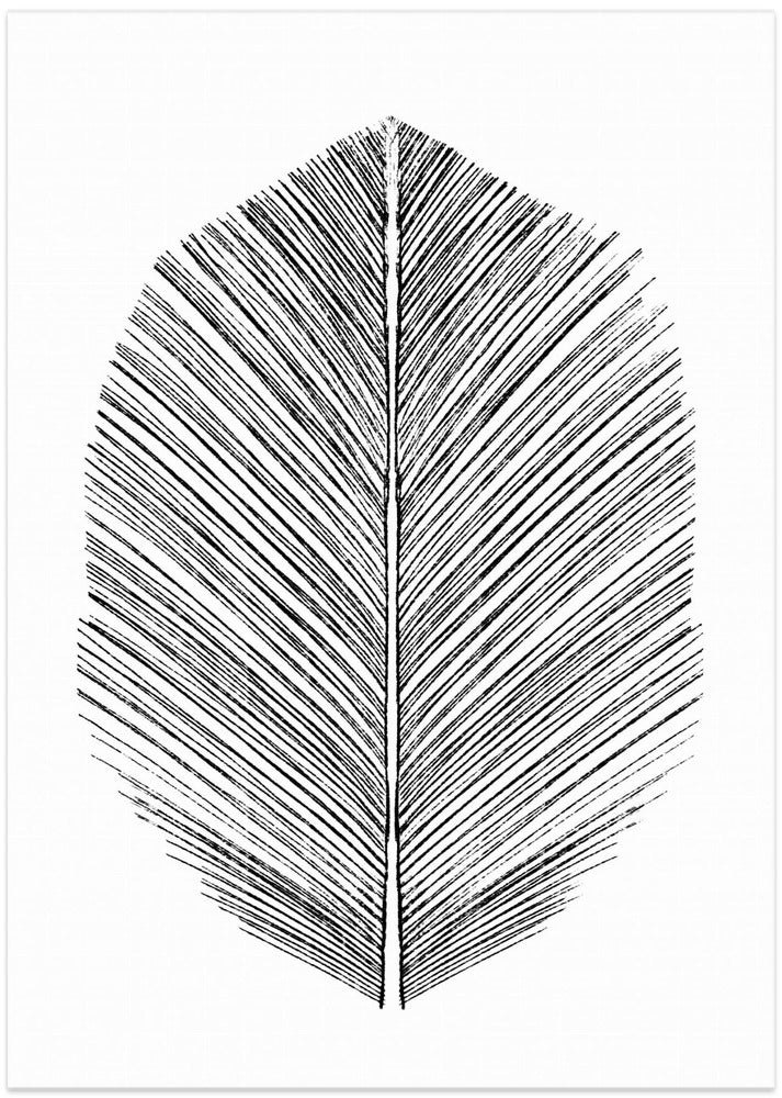 Art Prints of Feather
