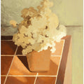 Still Life  01
