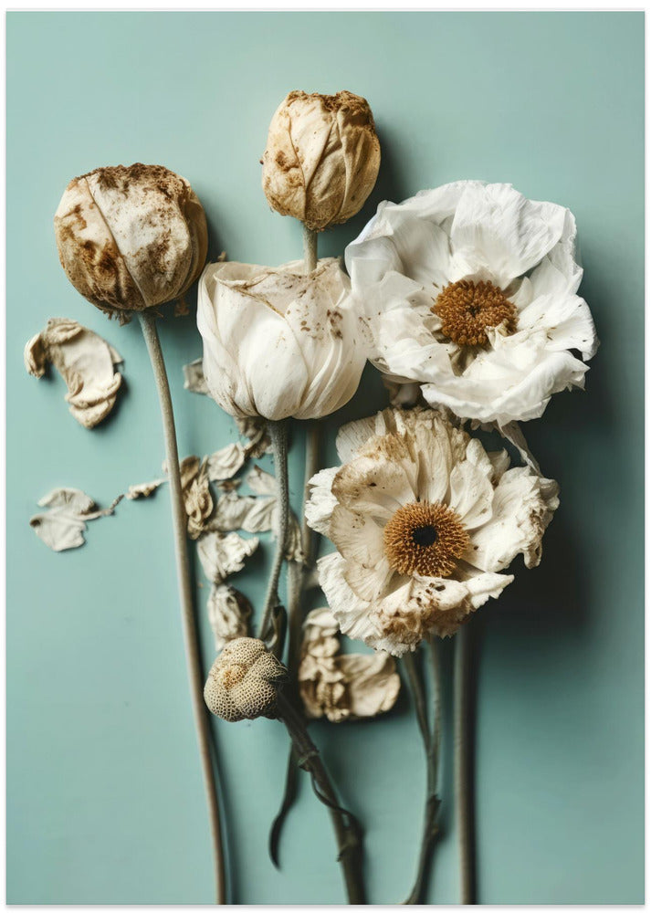 Faded Elegance