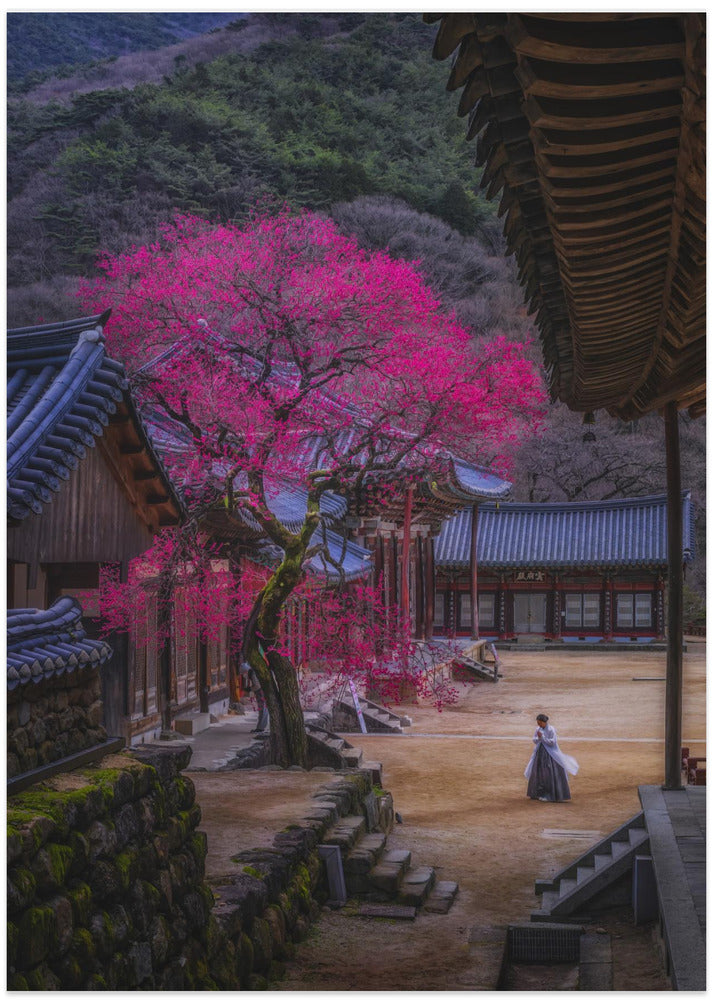 Earnest wish