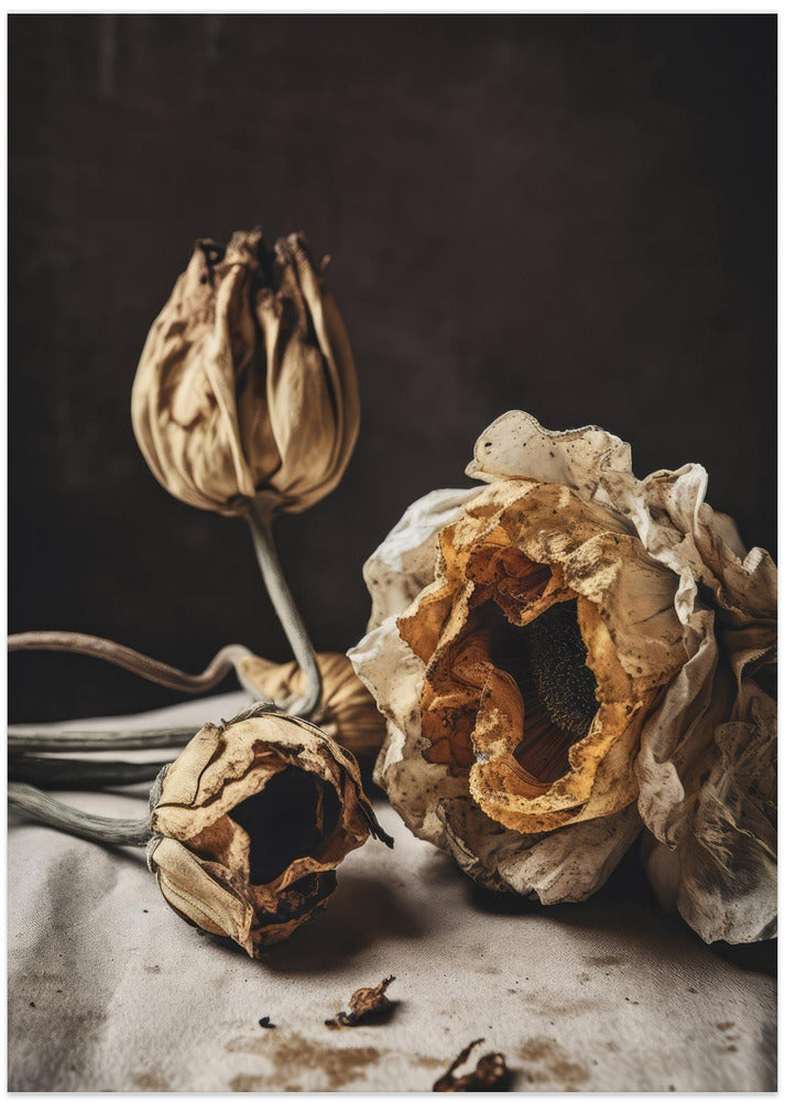 Whispers of Decay