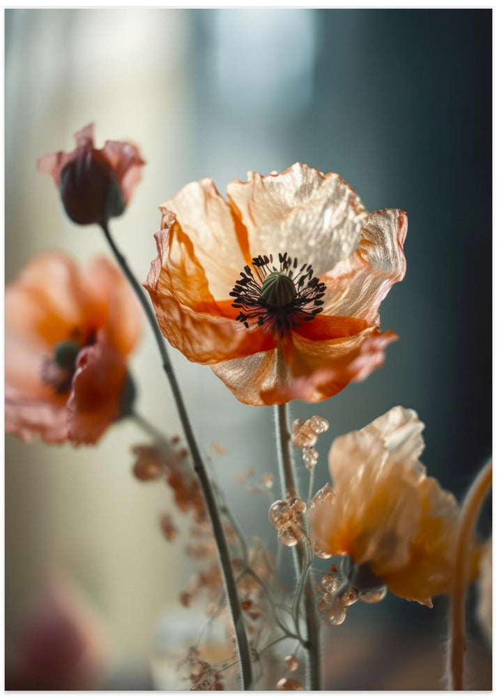Delicate Blooming