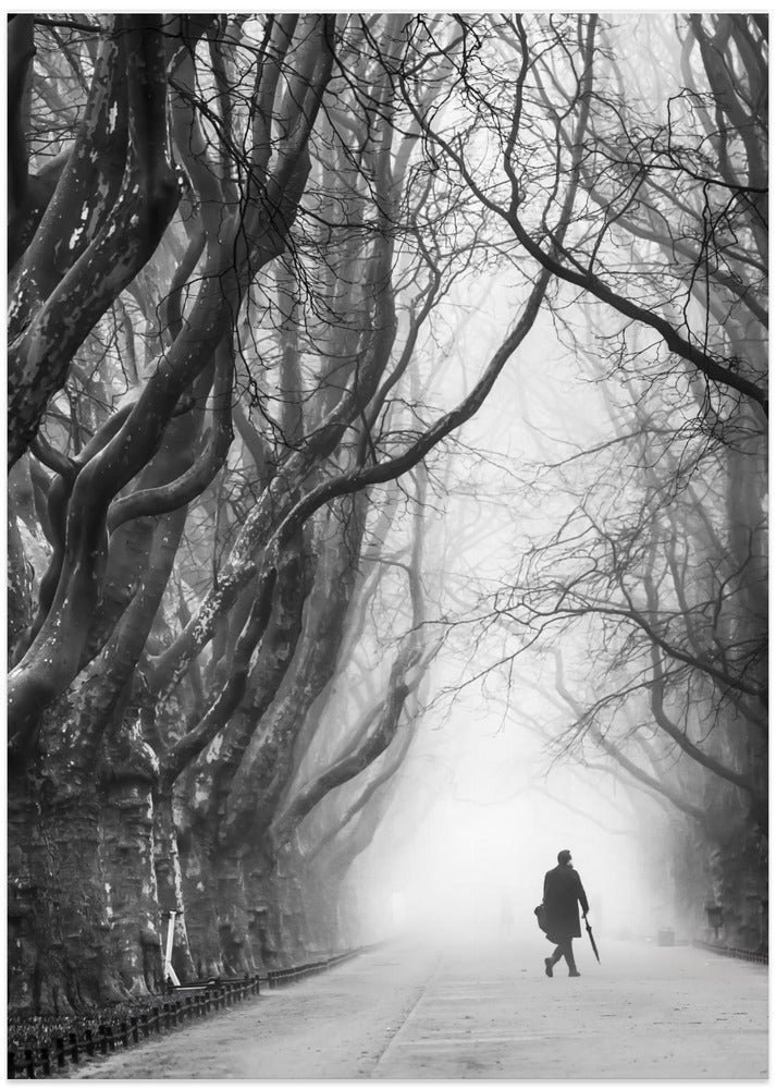 Plane tree way.
