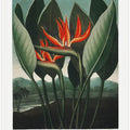 The Queen–Plant from The Temple of Flora (1807)