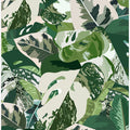 Green jungle leaves