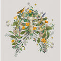 Floral thorax