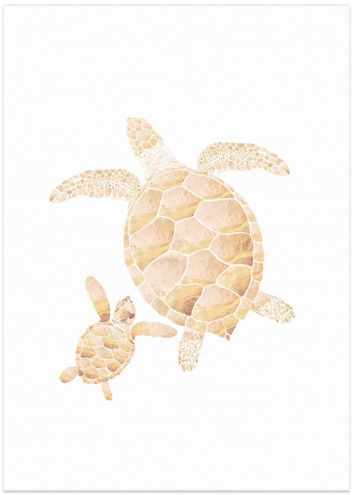 Gold white turtles