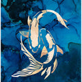 Gold koi fish swimming