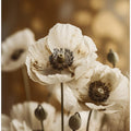 White Poppy