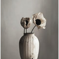 Faded Elegance