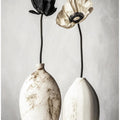Contrasting Blooms