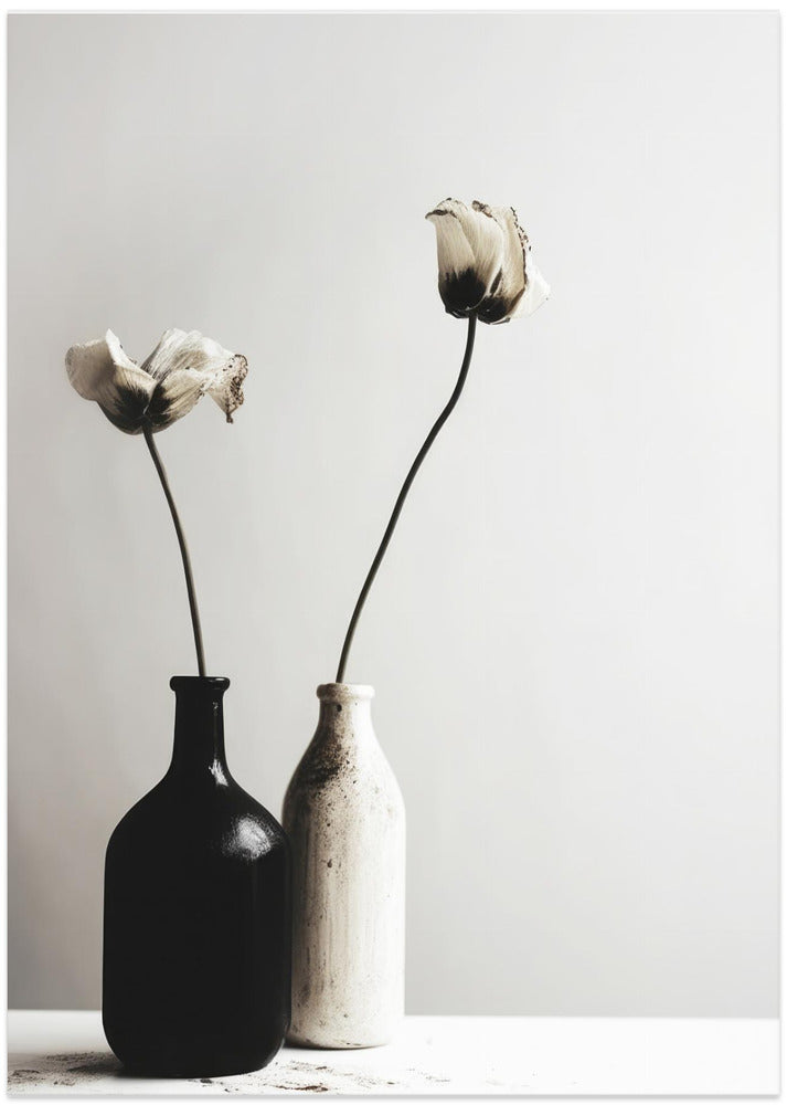 Dual Elegance