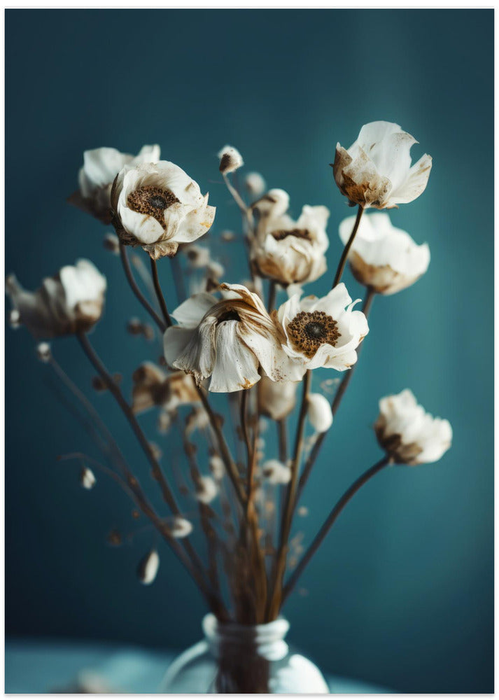 Faded Blooms