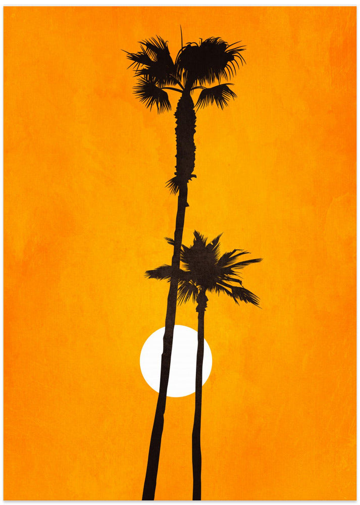 Sunshine Paradise