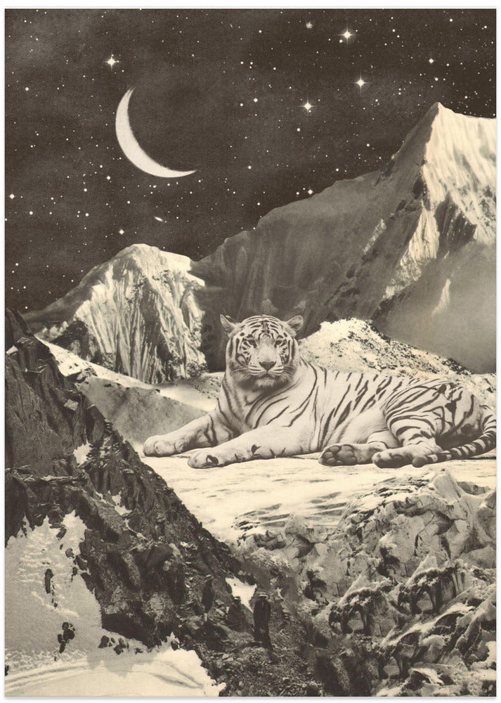 Giant White Tiger
