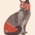 Chat Catcheur