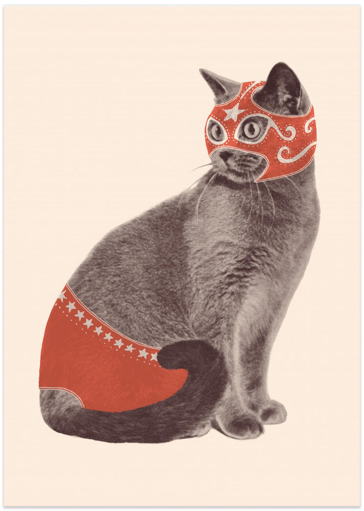 Chat Catcheur