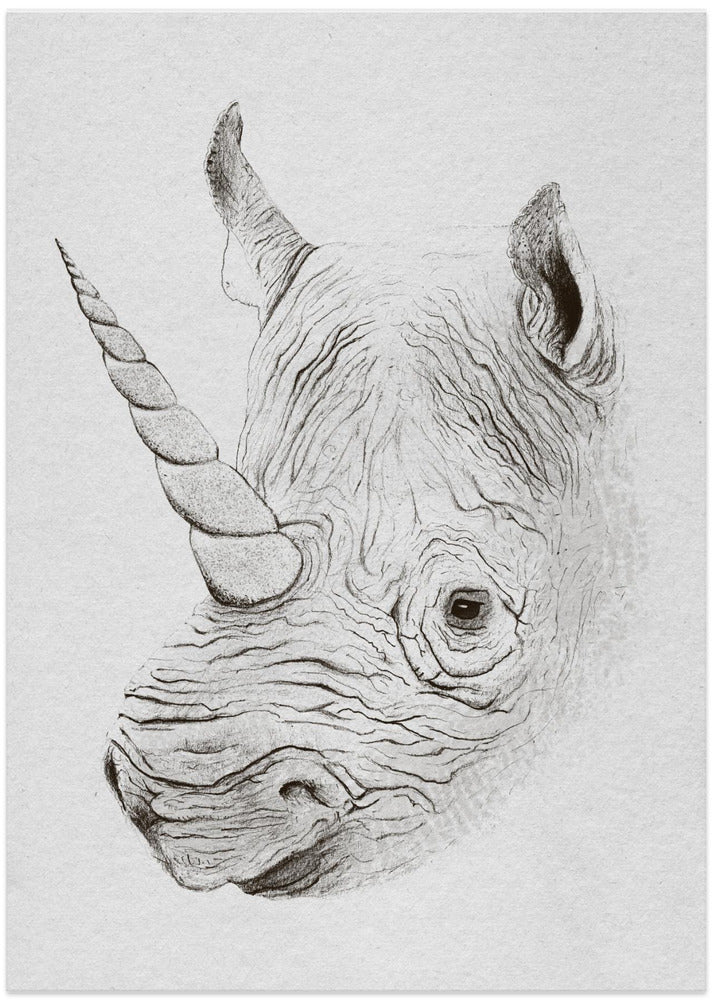 Rhinoplasty