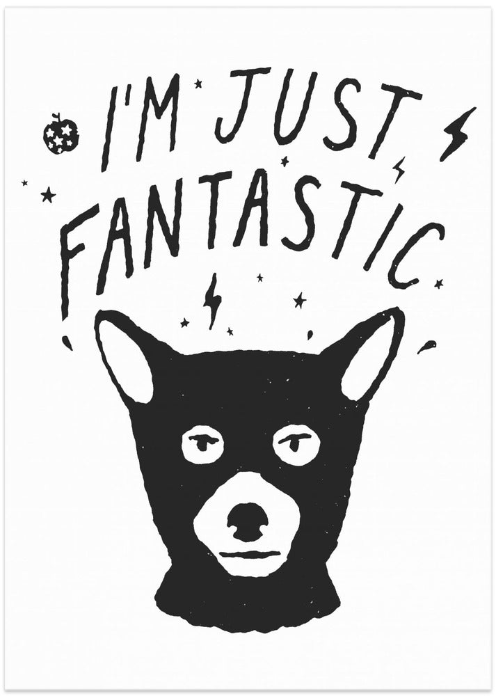 Im Just Fantastic