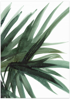 Art Prints of Lush