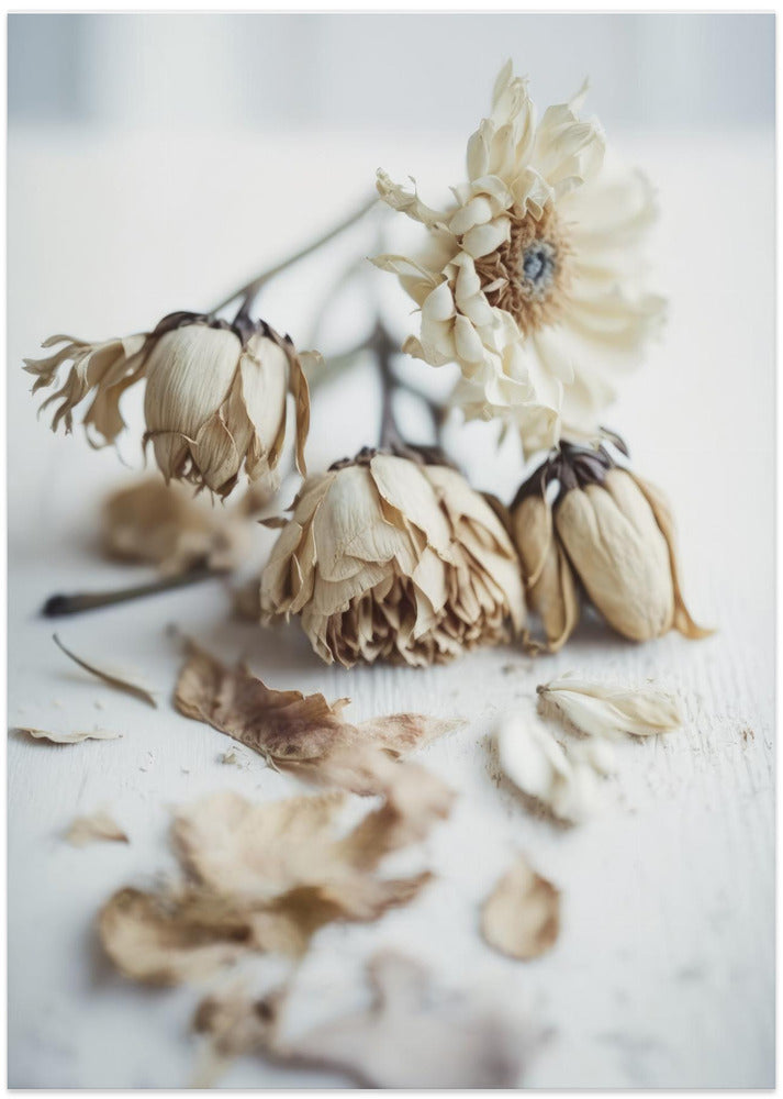 Faded Elegance
