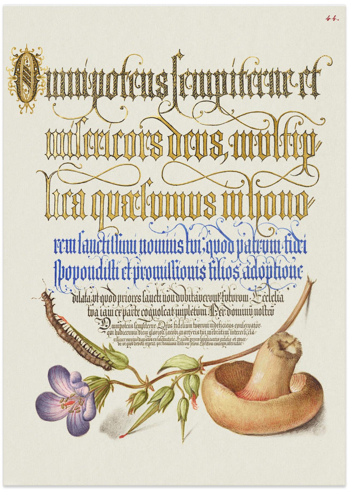 Mushroom Poster