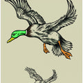 Flying Ducks