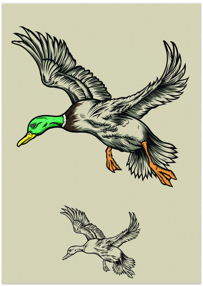 Flying Ducks