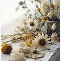 Faded Petals