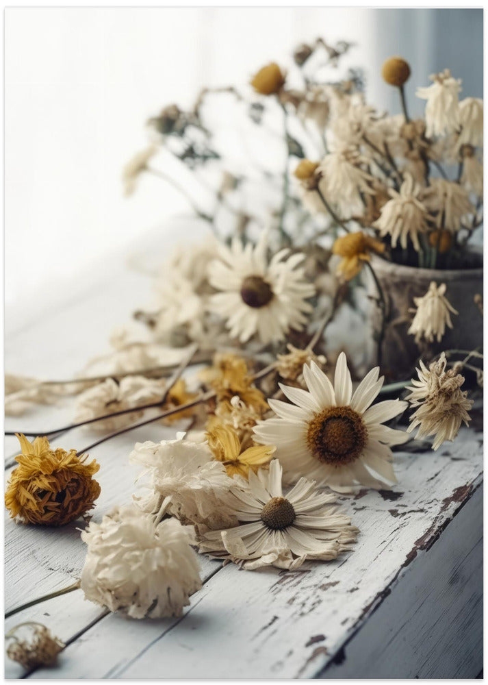 Faded Petals