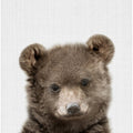 Peekaboo Baby Bear