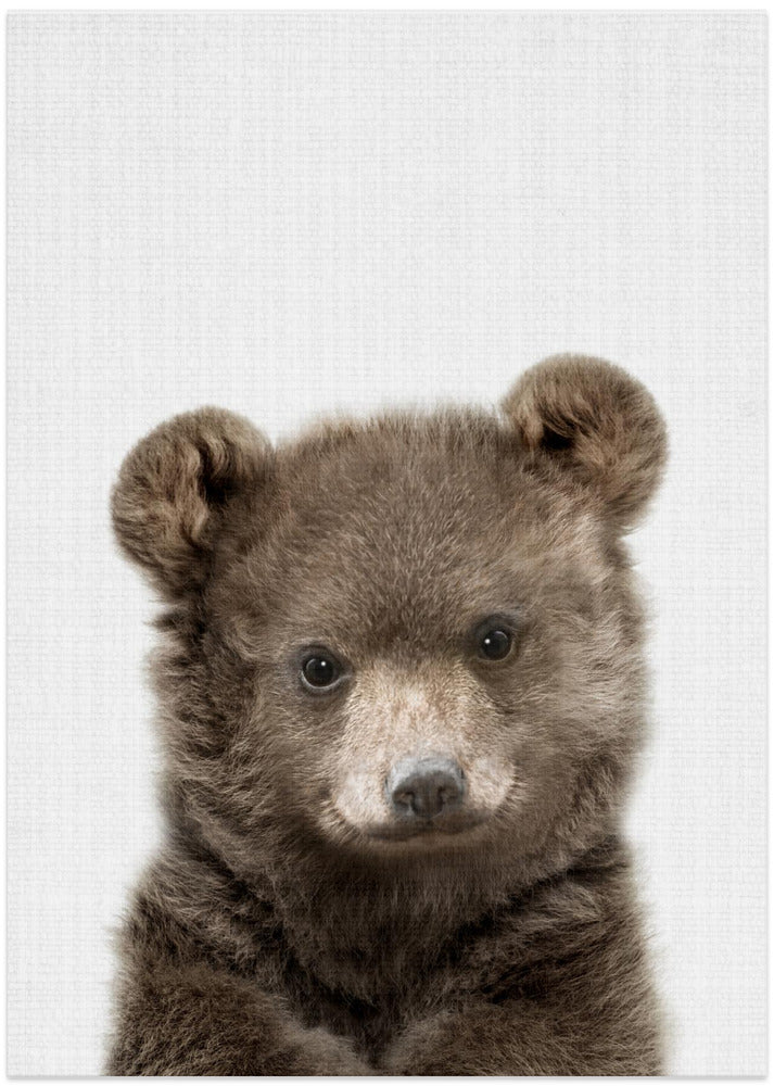 Peekaboo Baby Bear