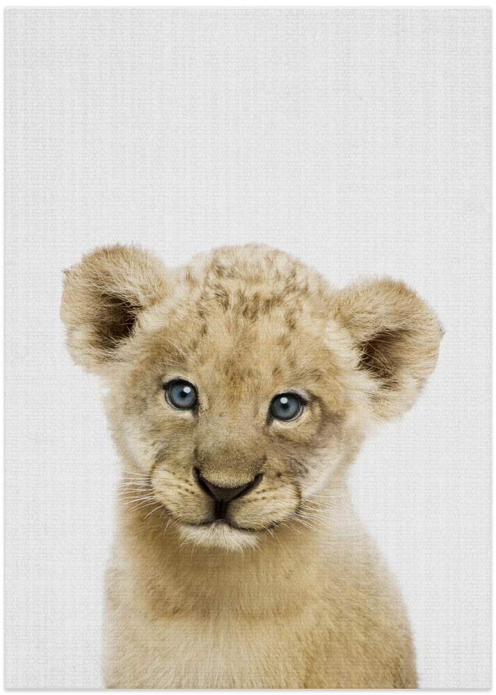 Peekaboo Baby Lion