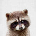 Peekaboo Raccoon