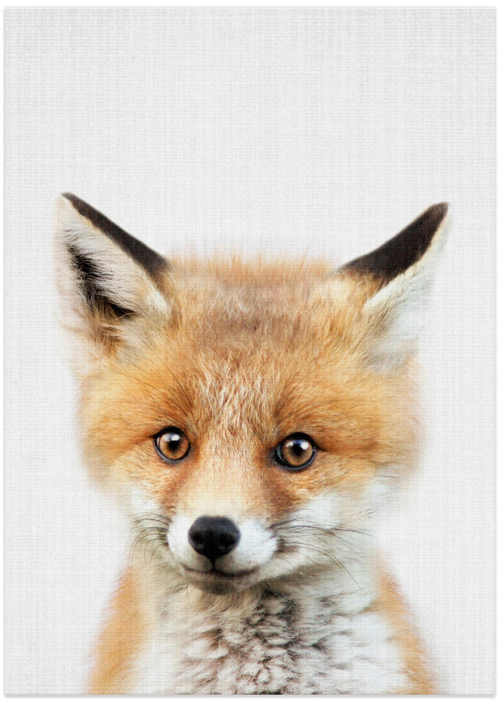 Peekaboo Baby Fox