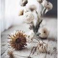 Nostalgic Blooms