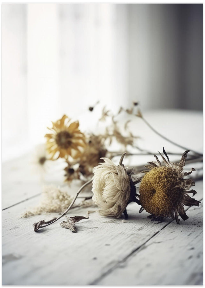 Faded Petals