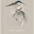 Grey Heron
