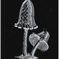 Vintage Inky Cap Edible Mushroom Dark BW