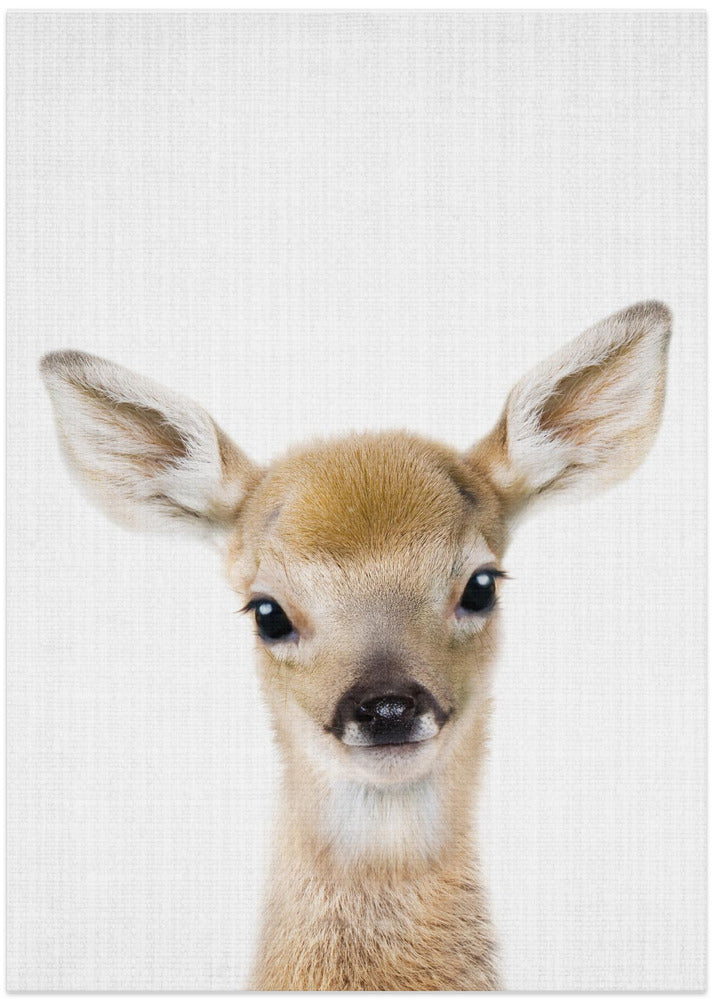 Peekaboo Baby Deer