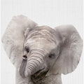 Peekaboo Baby Elephant